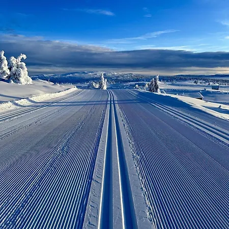 Pellestova * Hafjell