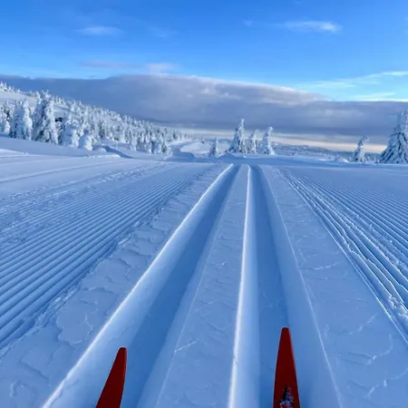 Pellestova - Hafjell Апартаменты Эйер