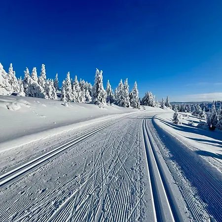 Leilighet Pellestova - *