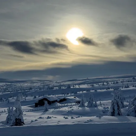 Apartment Pellestova *