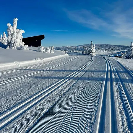 Pellestova Hafjell