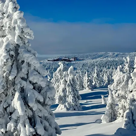Pellestova Хафьель