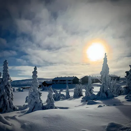 Apartment Pellestova