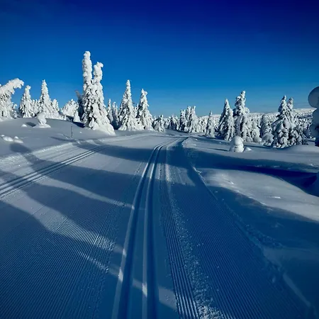Pellestova * Hafjell