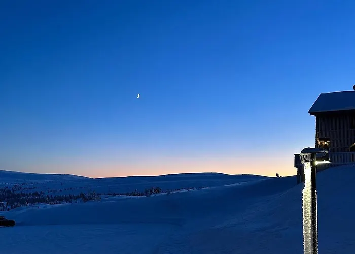 Apartment Pellestova *