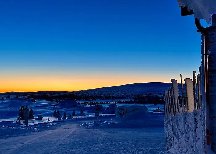 Apartment Pellestova *