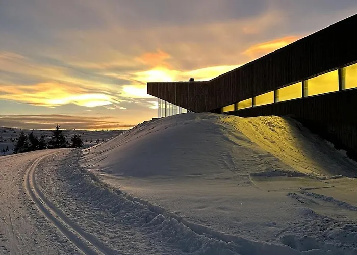 Pellestova Apartment