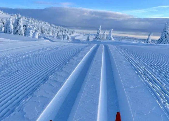 Pellestova Apartment Øyer