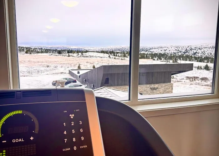 Apartment Pellestova Øyer