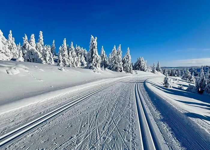 Apartment Pellestova *