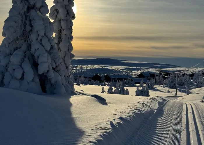 Pellestova Apartment *