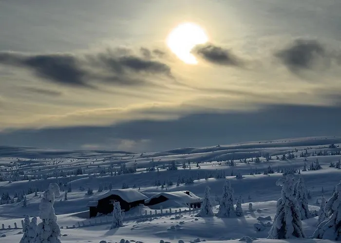 Apartman Pellestova - *