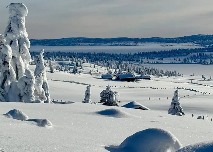 Pellestova Apartment *