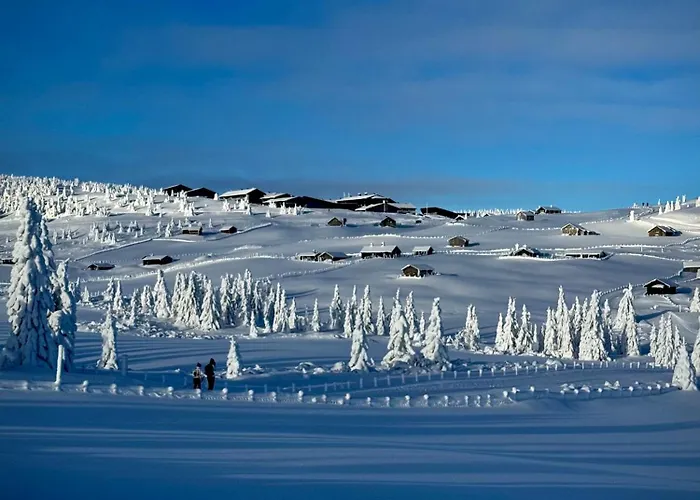 Pellestova Apartment