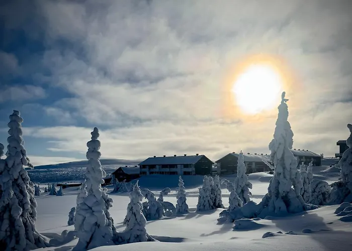 Apartment Pellestova