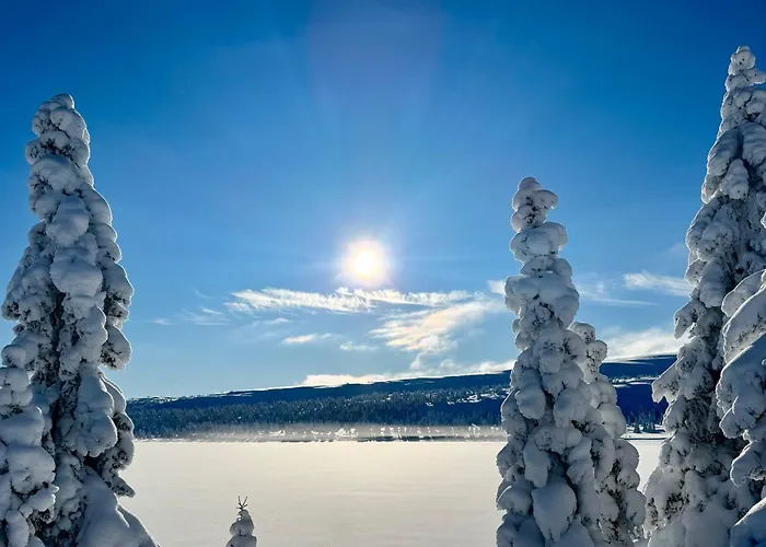 Pellestova Apartment