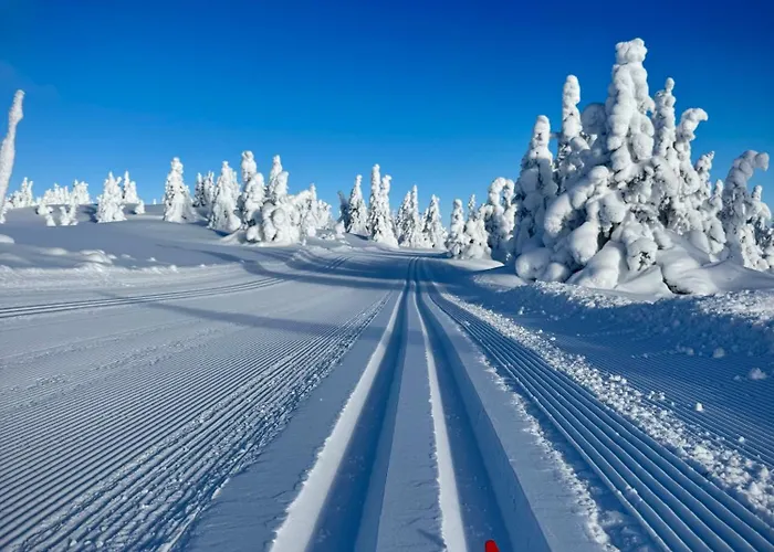 Apartment Pellestova *