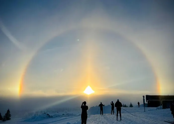 Apartment Pellestova