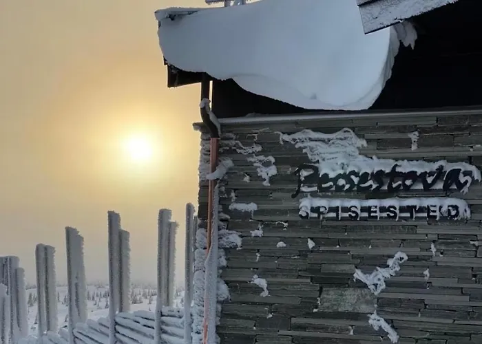 Pellestova Apartment