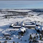 Pellestova *