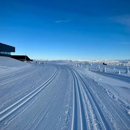 Pellestova * Hafjell